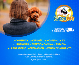 https://nopasanada.mx/wp-content/uploads/2024/10/Widget-chico-1.jpg